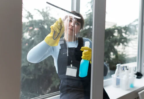 Nettoyage de vitres intérieures et extérieures au Trioulou